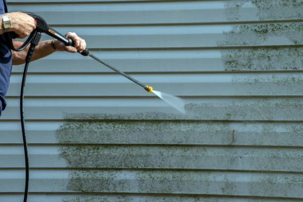 Best Residential Pressure Washing Services  in Villas, FL